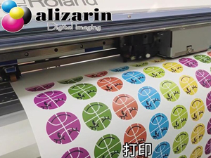 福州利来w66-深色靓贴 HTW-300SP